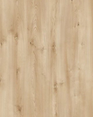 AGT Yuka Parke - PRK113 - 2