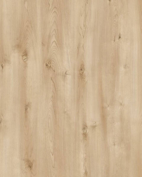 AGT Yuka Parke - PRK113 - 2