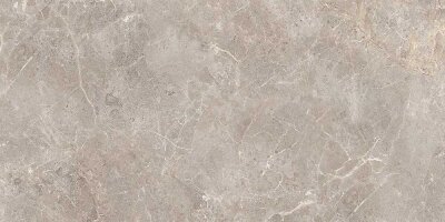 Ege Seramik 60x120 Fior Di Bosco Gri Tam Parlak Rektifiye - EGE SERAMİK