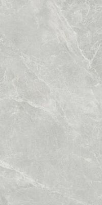 Kütahya Seramik Swan Gri Rektifiye Parlak Nano (60x120cm) - 1